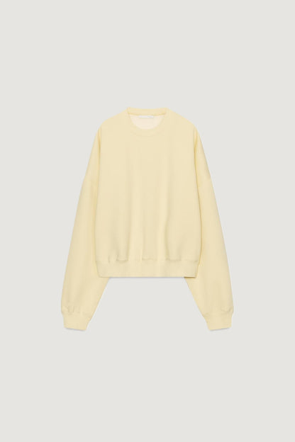 Basic Plush Sweatshirt
